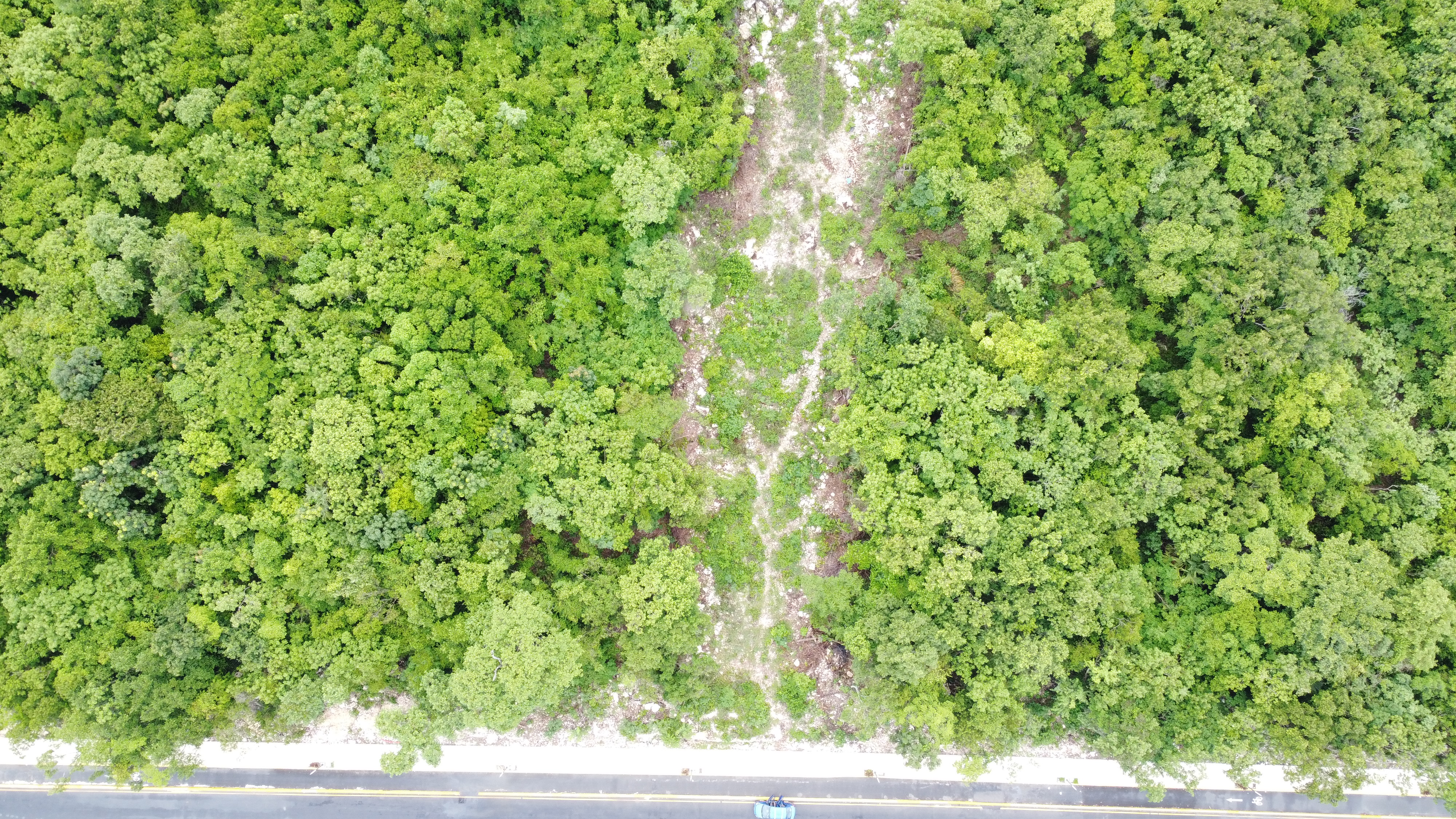 Problems with solid waste.